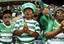 Bloem Celtic e boile ka difomo tše tharo