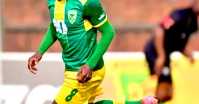 Sundowns ba nyaka Siyanda Ndlovu